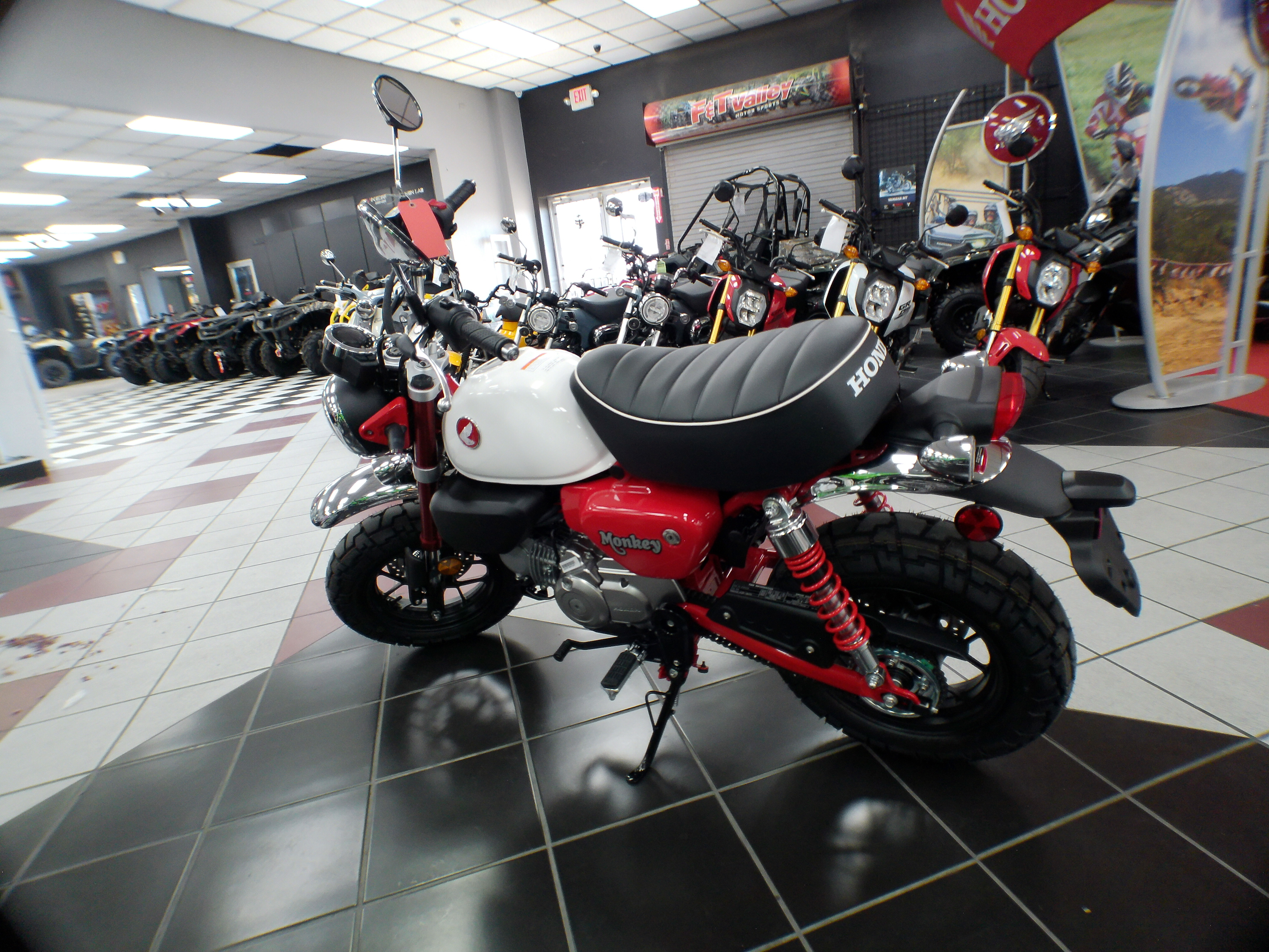 2025 Honda Monkey ABS - Photo 6