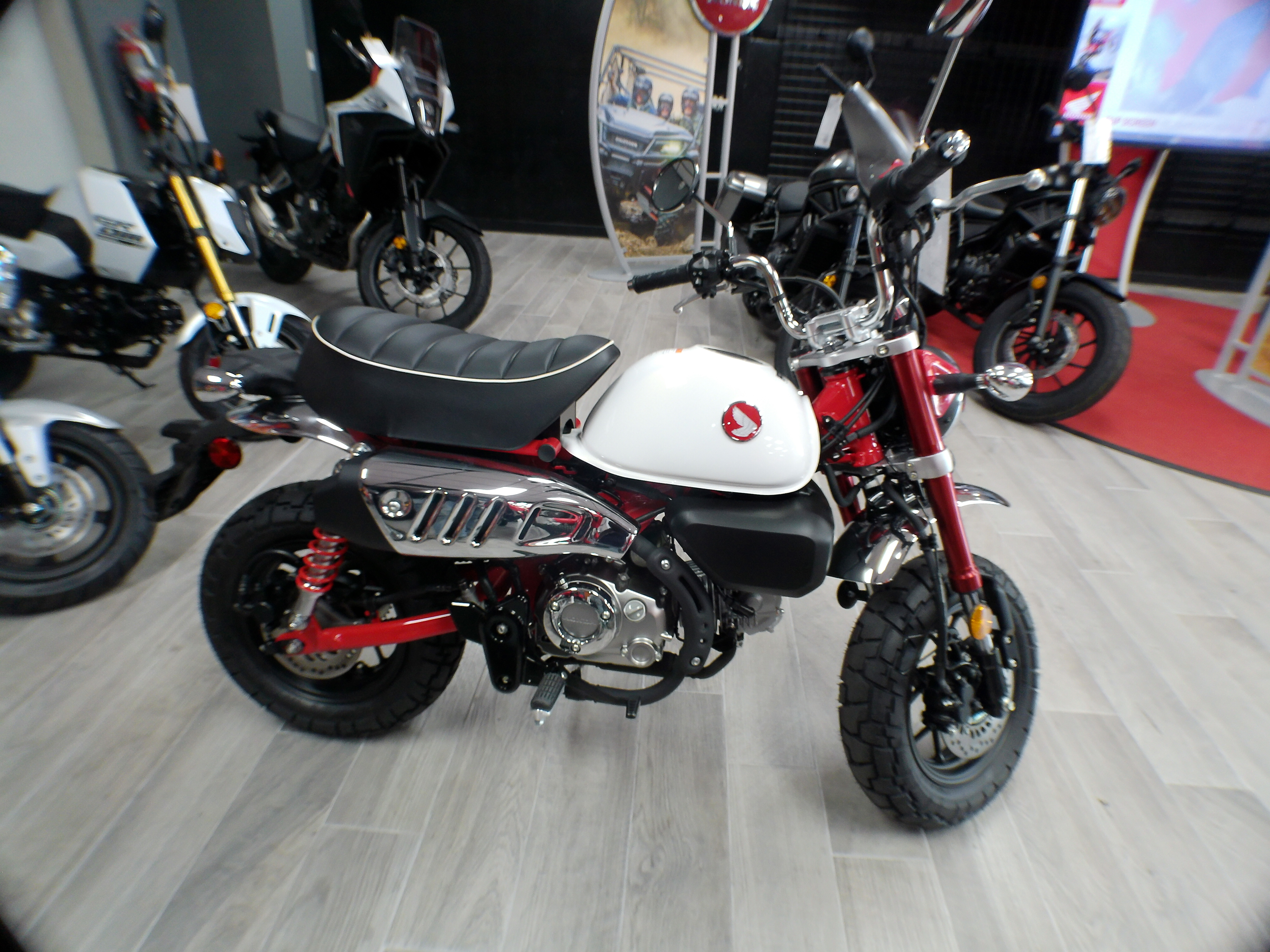 2025 Honda Monkey ABS - Photo 12