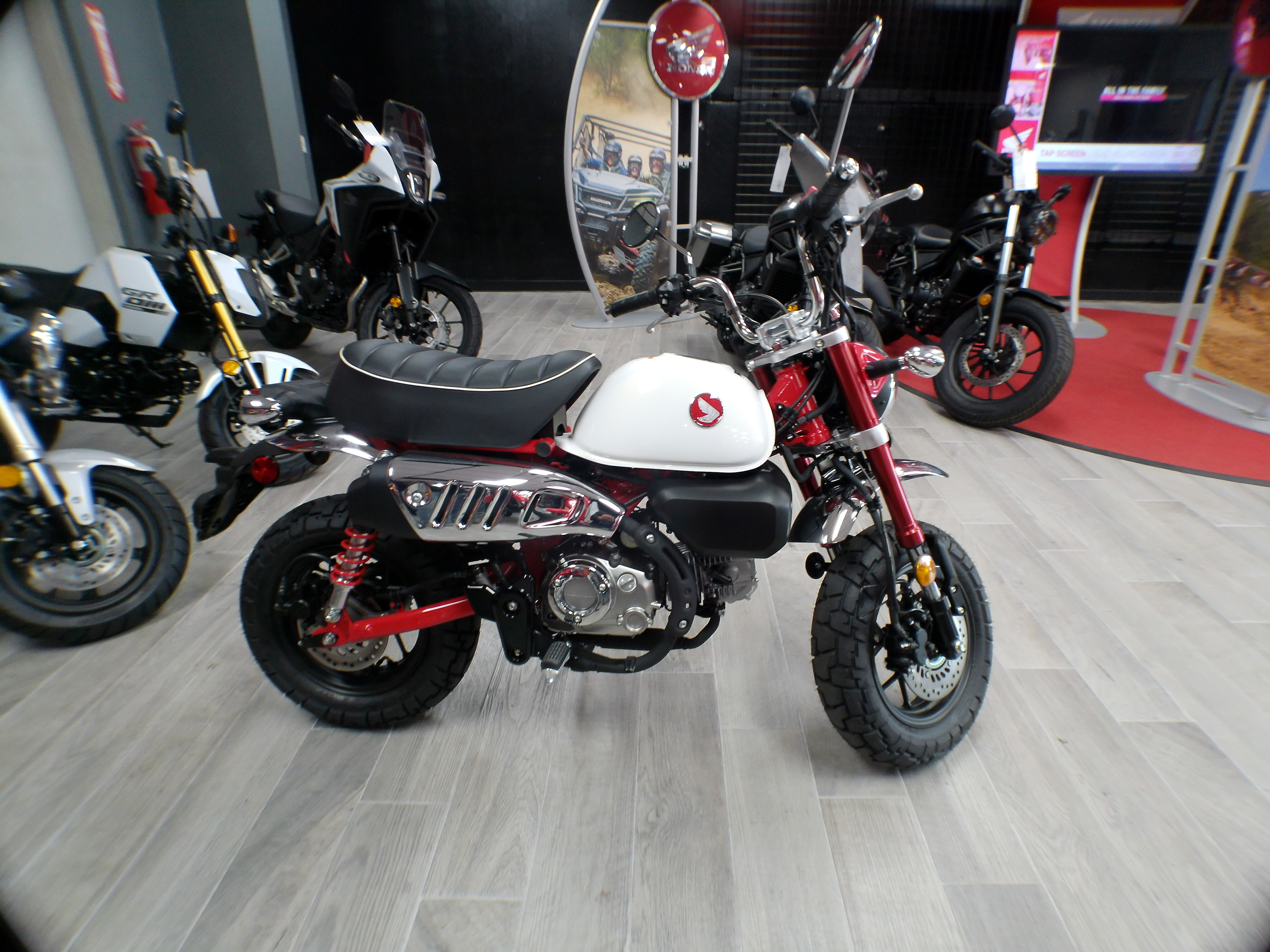 2025 Honda Monkey ABS - Photo 14