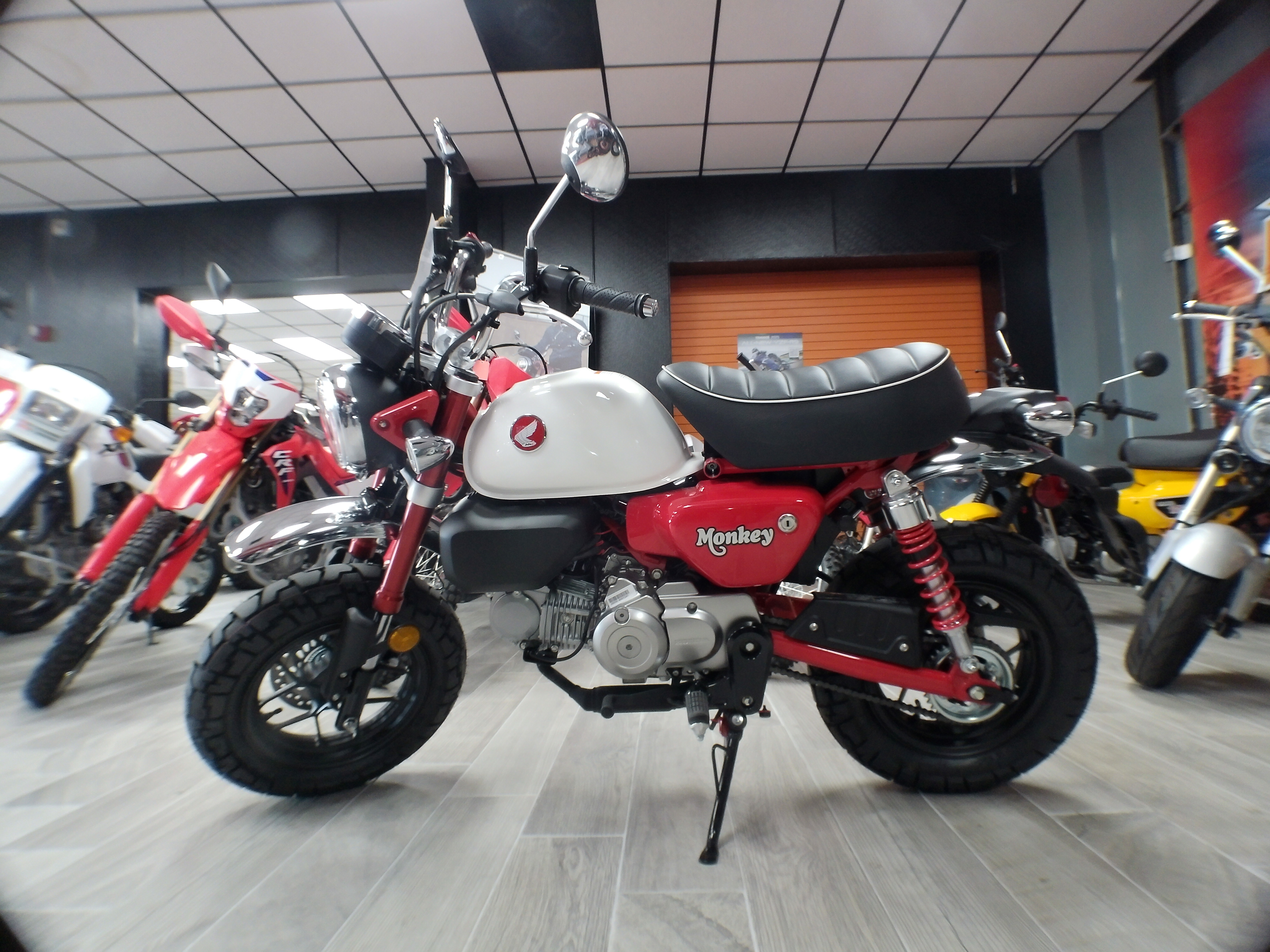 2025 Honda Monkey ABS - Photo 13