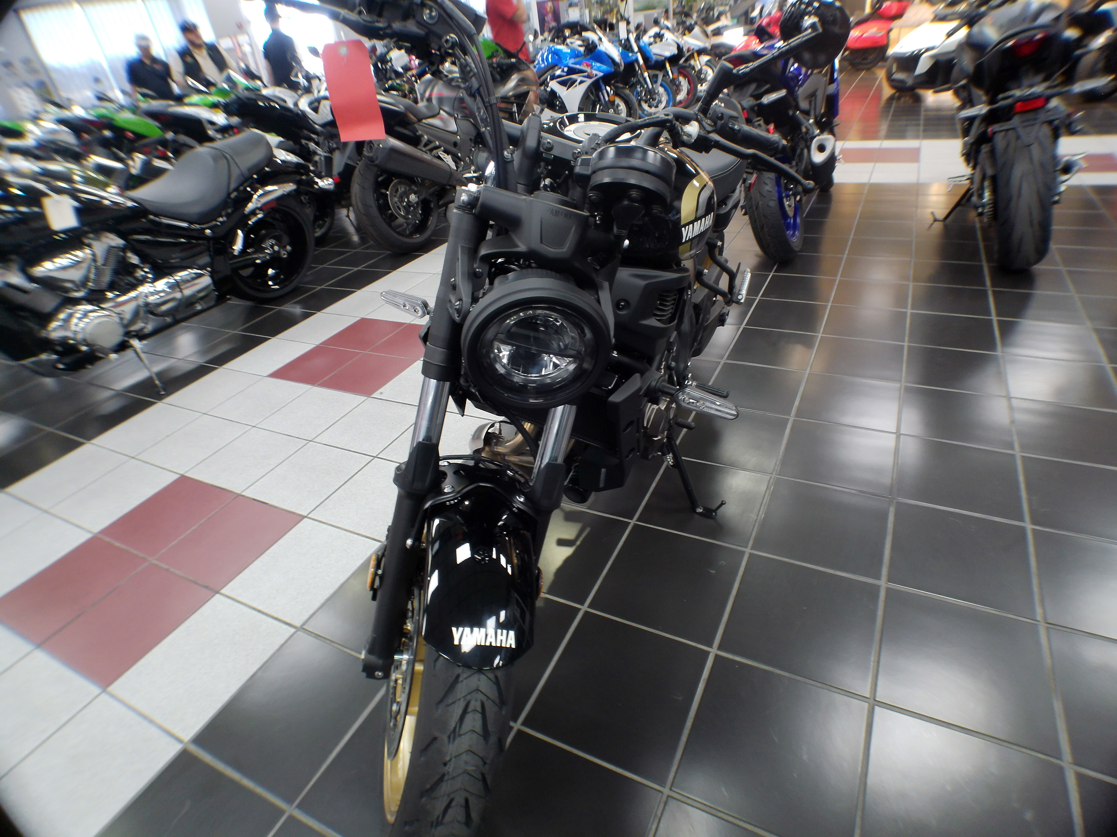 2025 Yamaha XSR700 - Photo 6