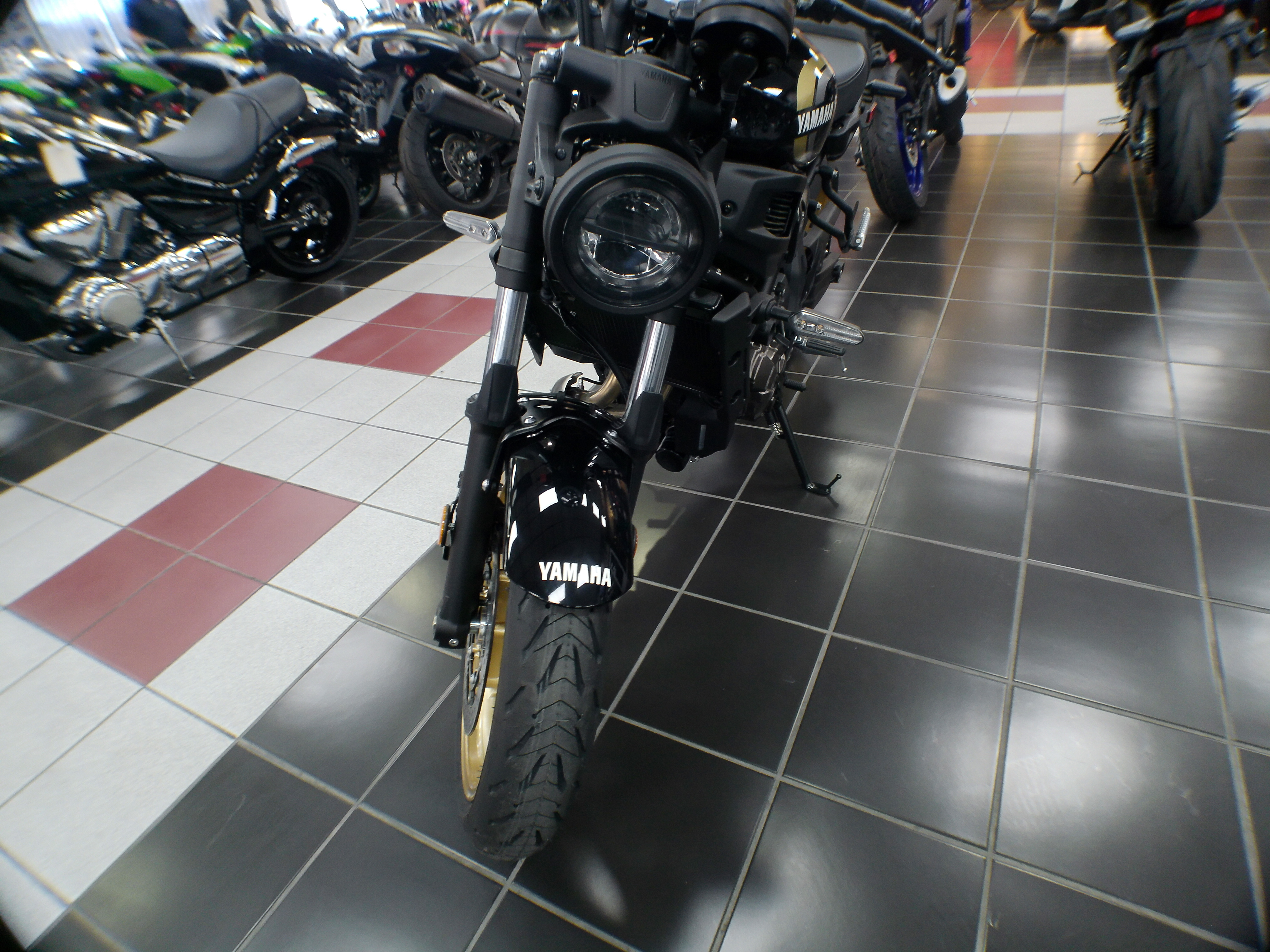 2025 Yamaha XSR700 - Photo 5