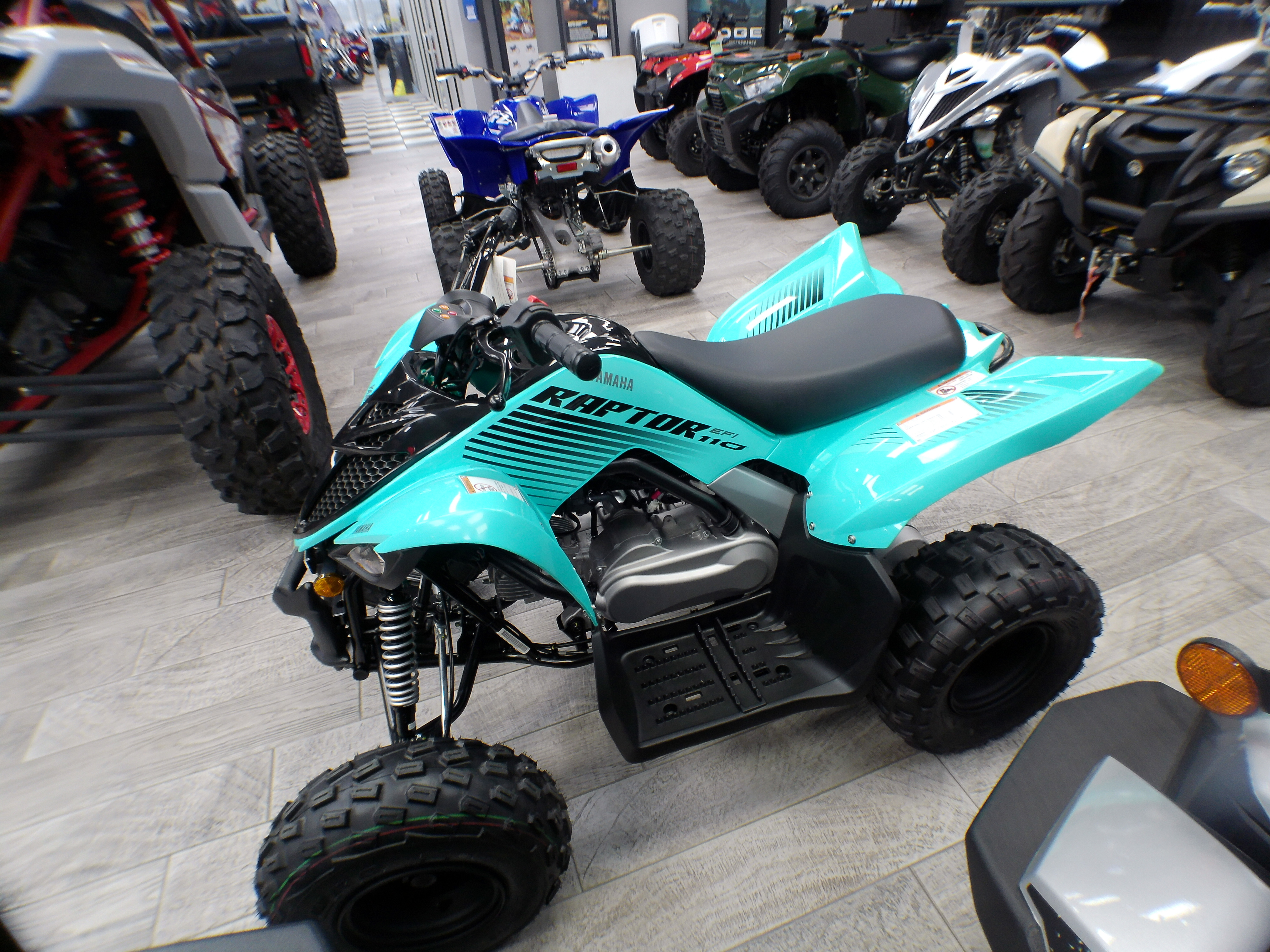 2025 Yamaha Raptor 110 - Photo 6