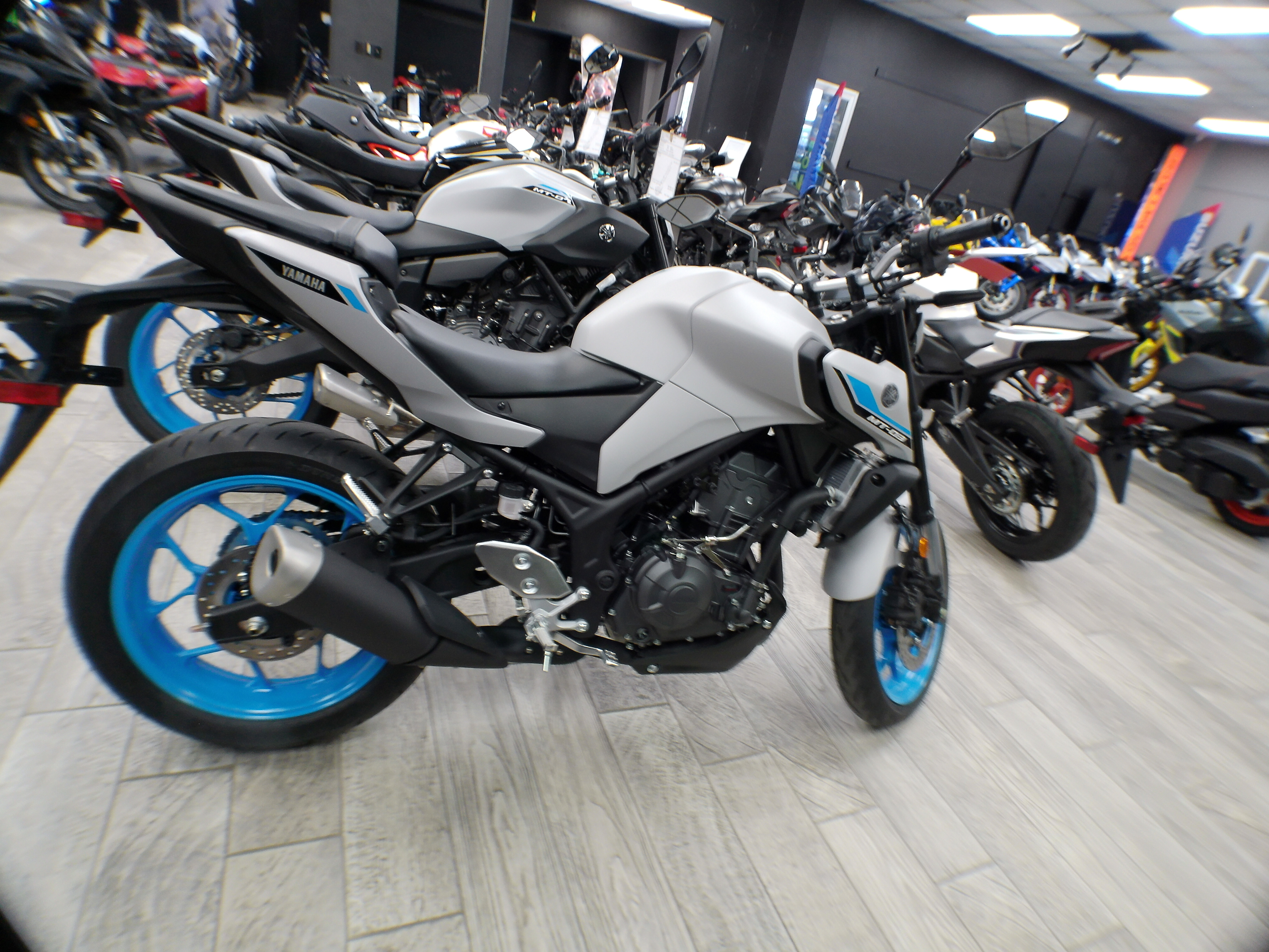 2025 Yamaha MT-03 - Photo 6