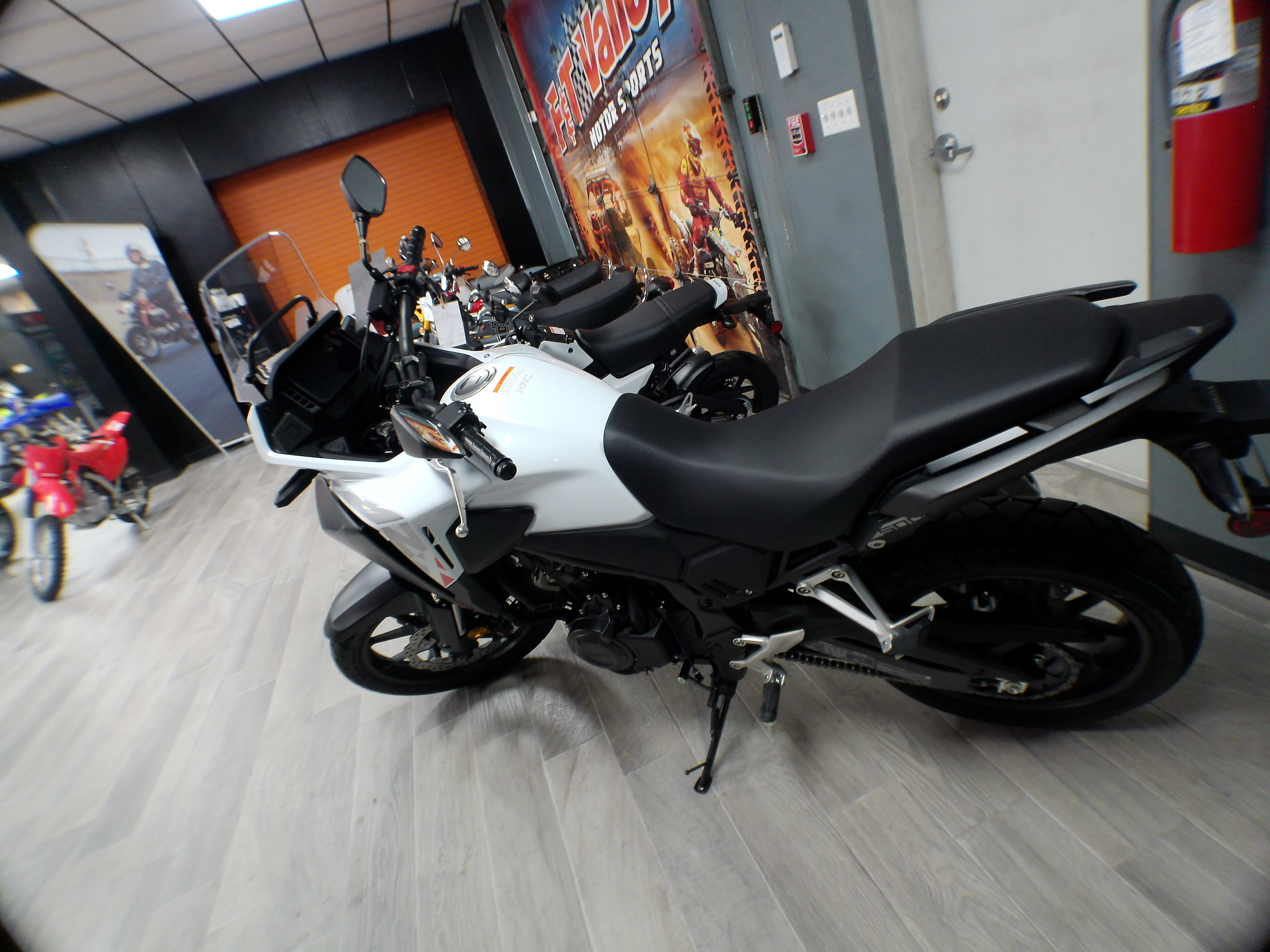 2025 Honda NX500 - Photo 5