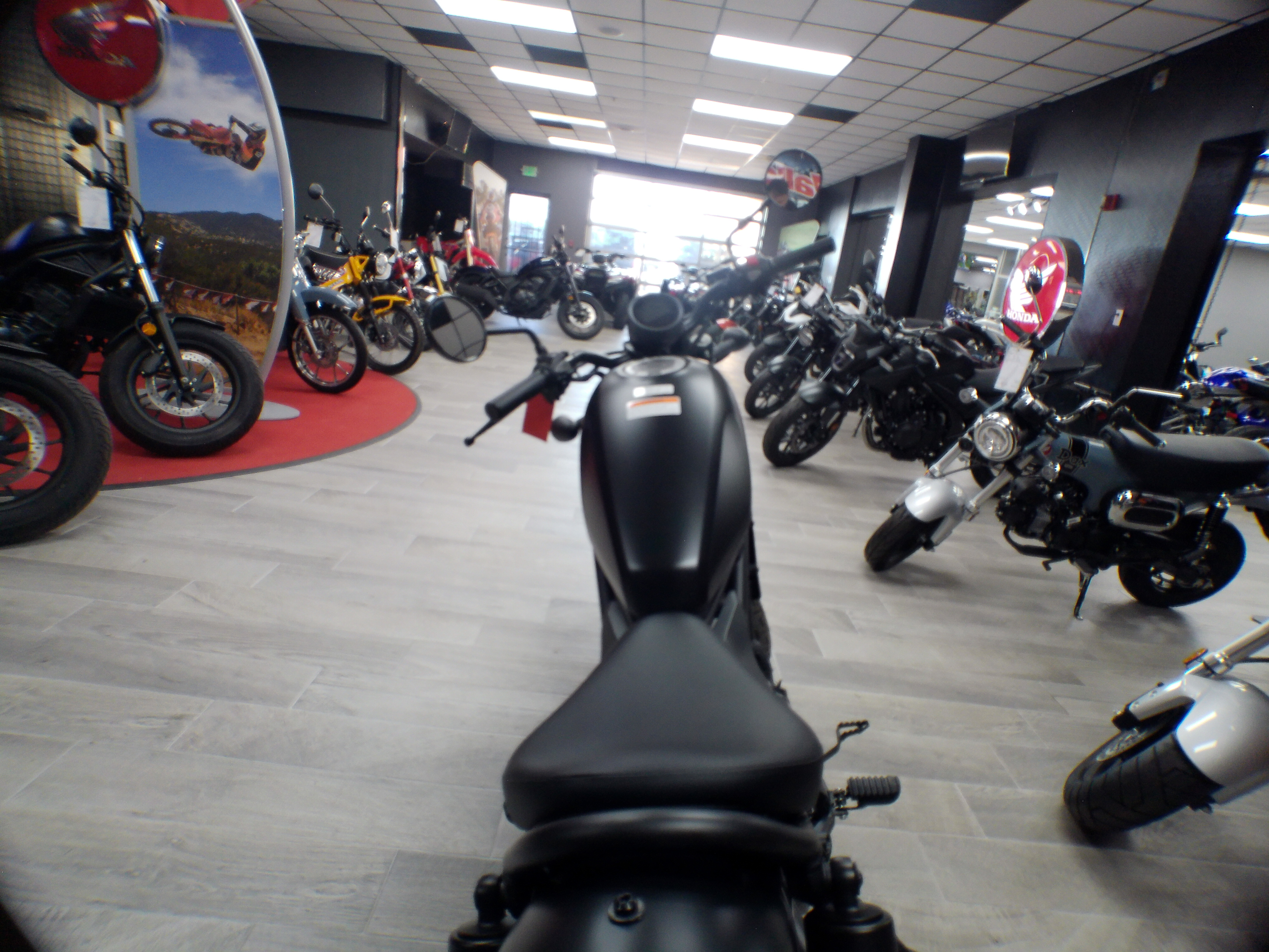 2025 Honda Rebel 300 - Photo 5