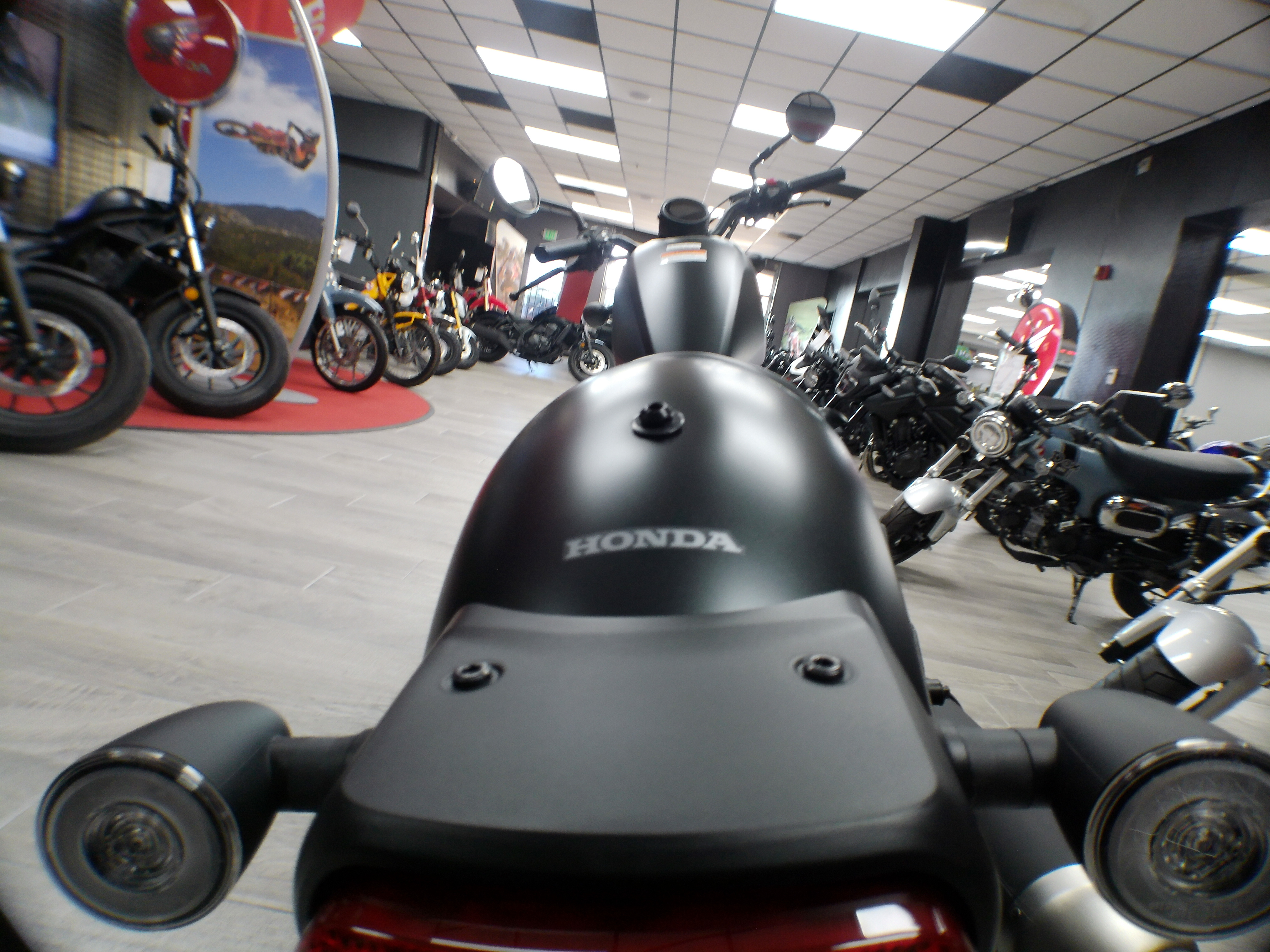 2025 Honda Rebel 300 - Photo 6