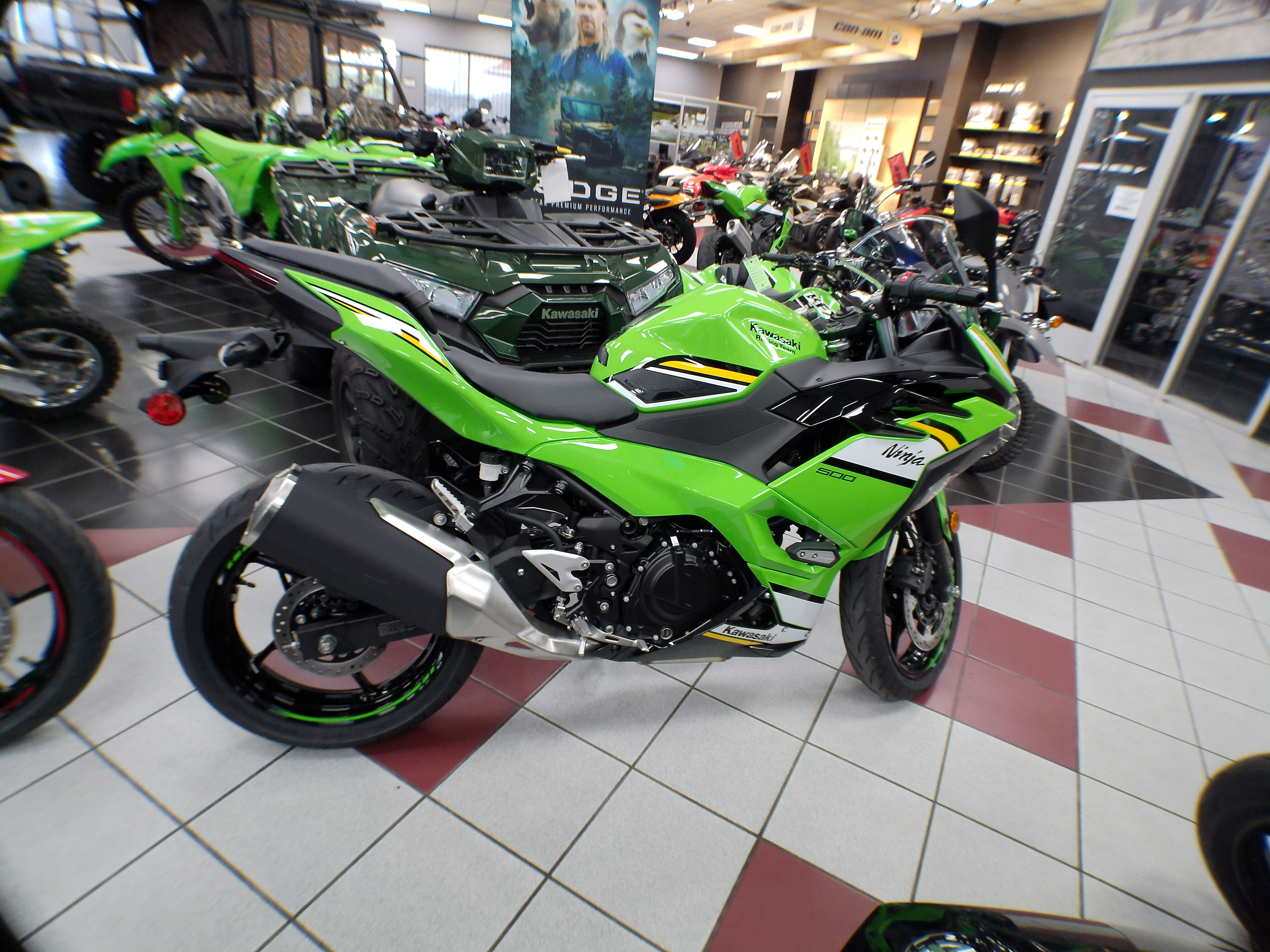 2025 Kawasaki Ninja 500 - Photo 9