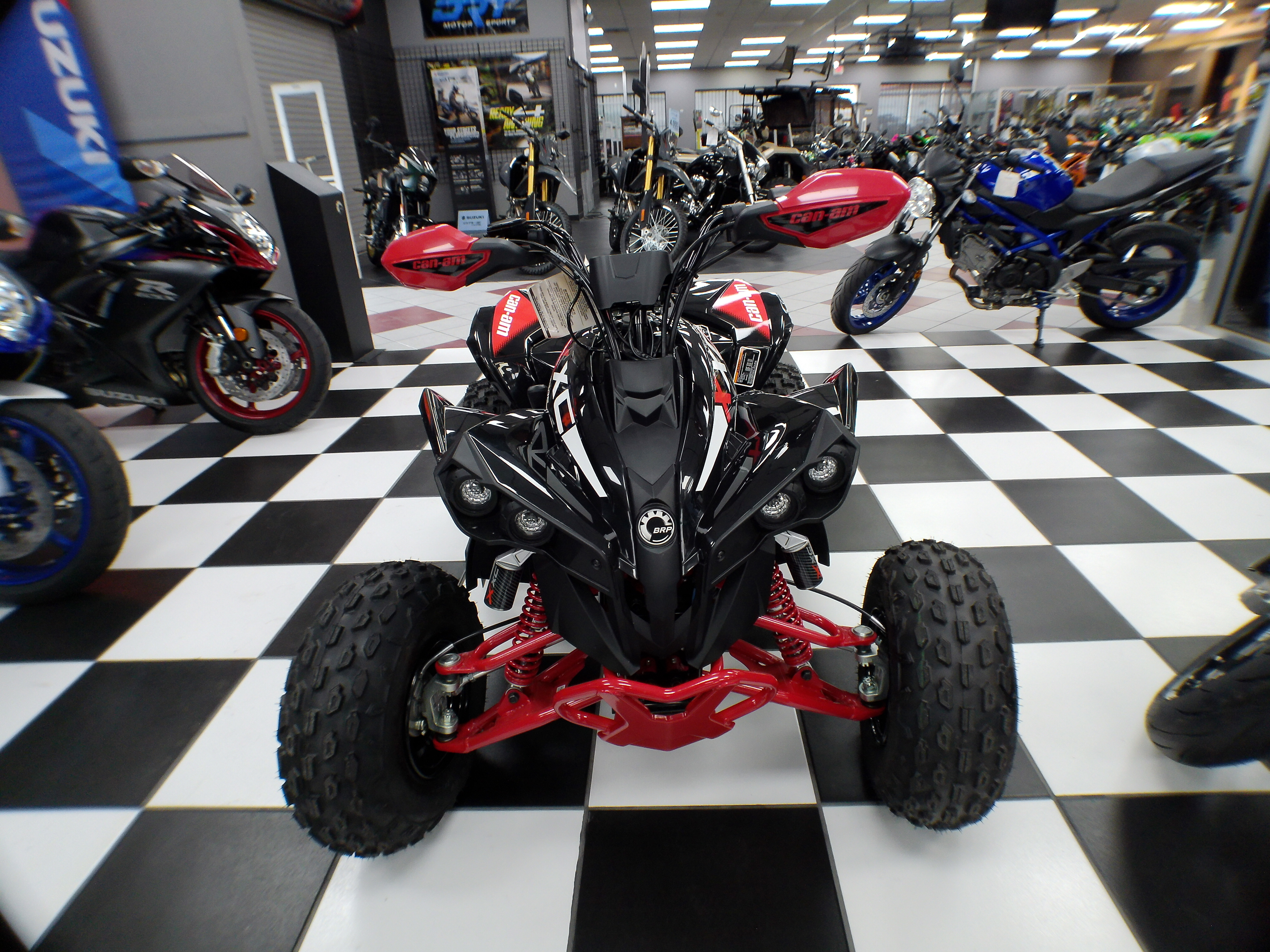 2026 Can-Am Renegade X xc 110