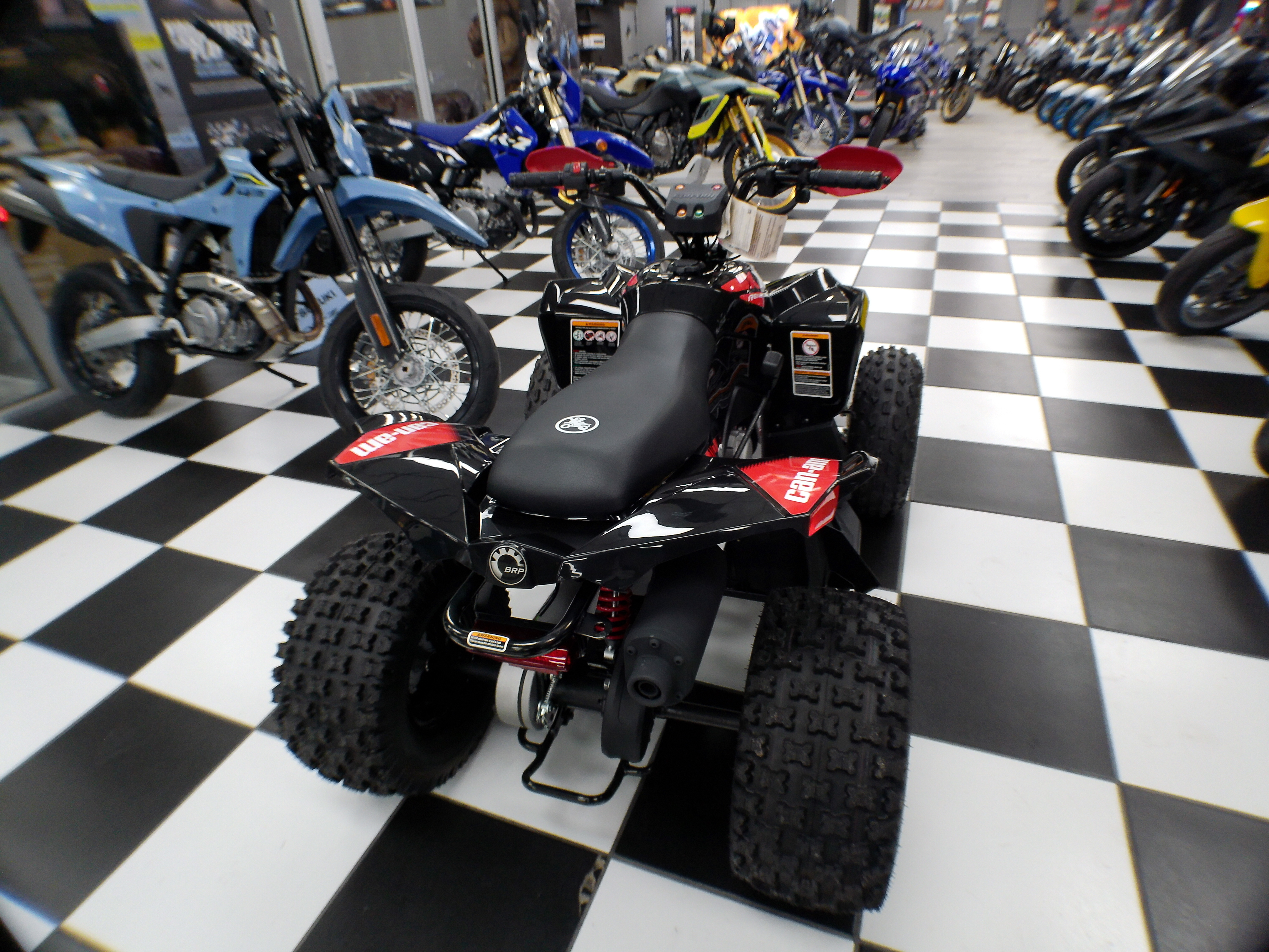 2026 Can-Am Renegade X xc 110 - Photo 11
