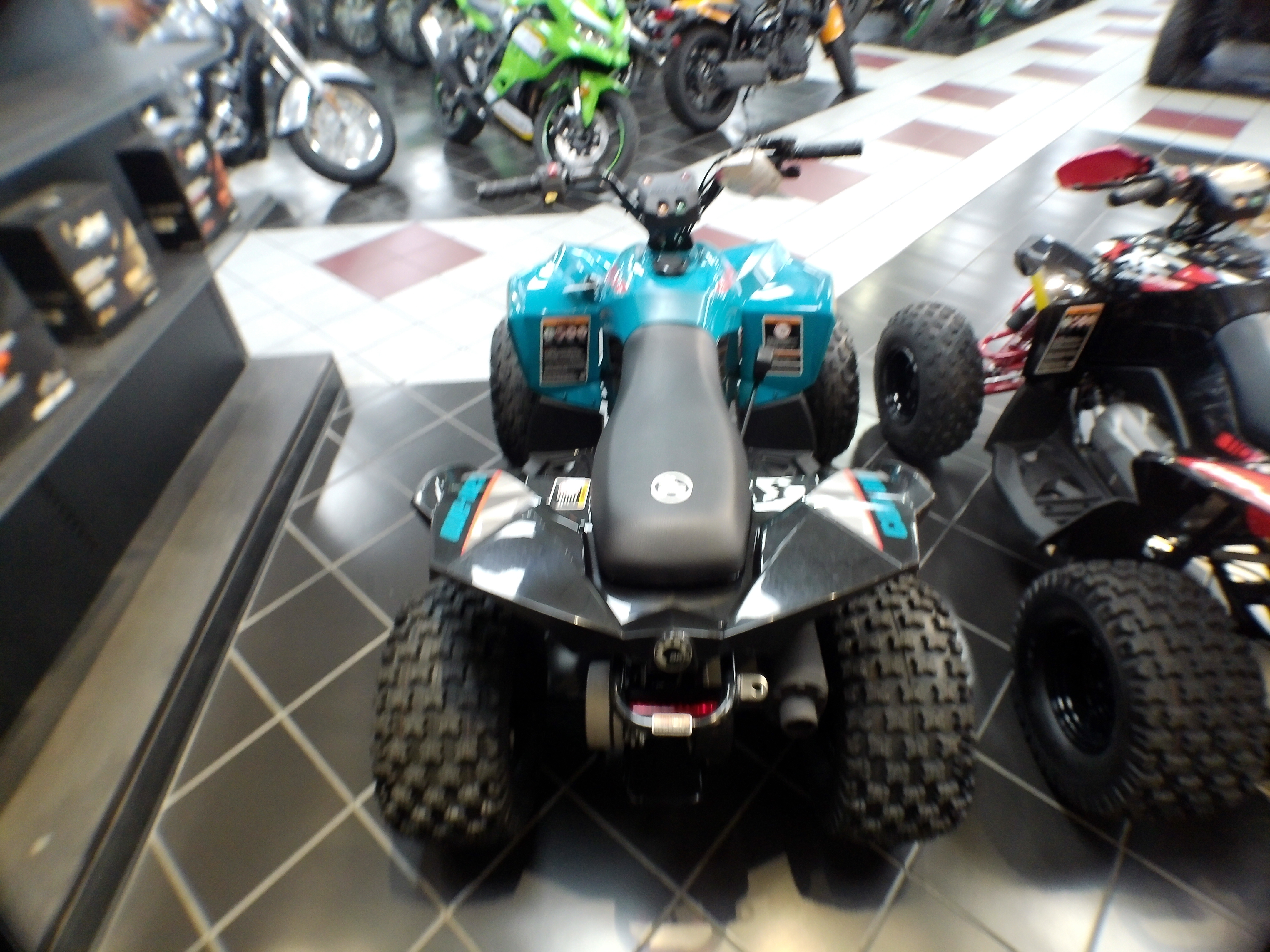 2026 Can-Am Renegade 110 - Photo 4