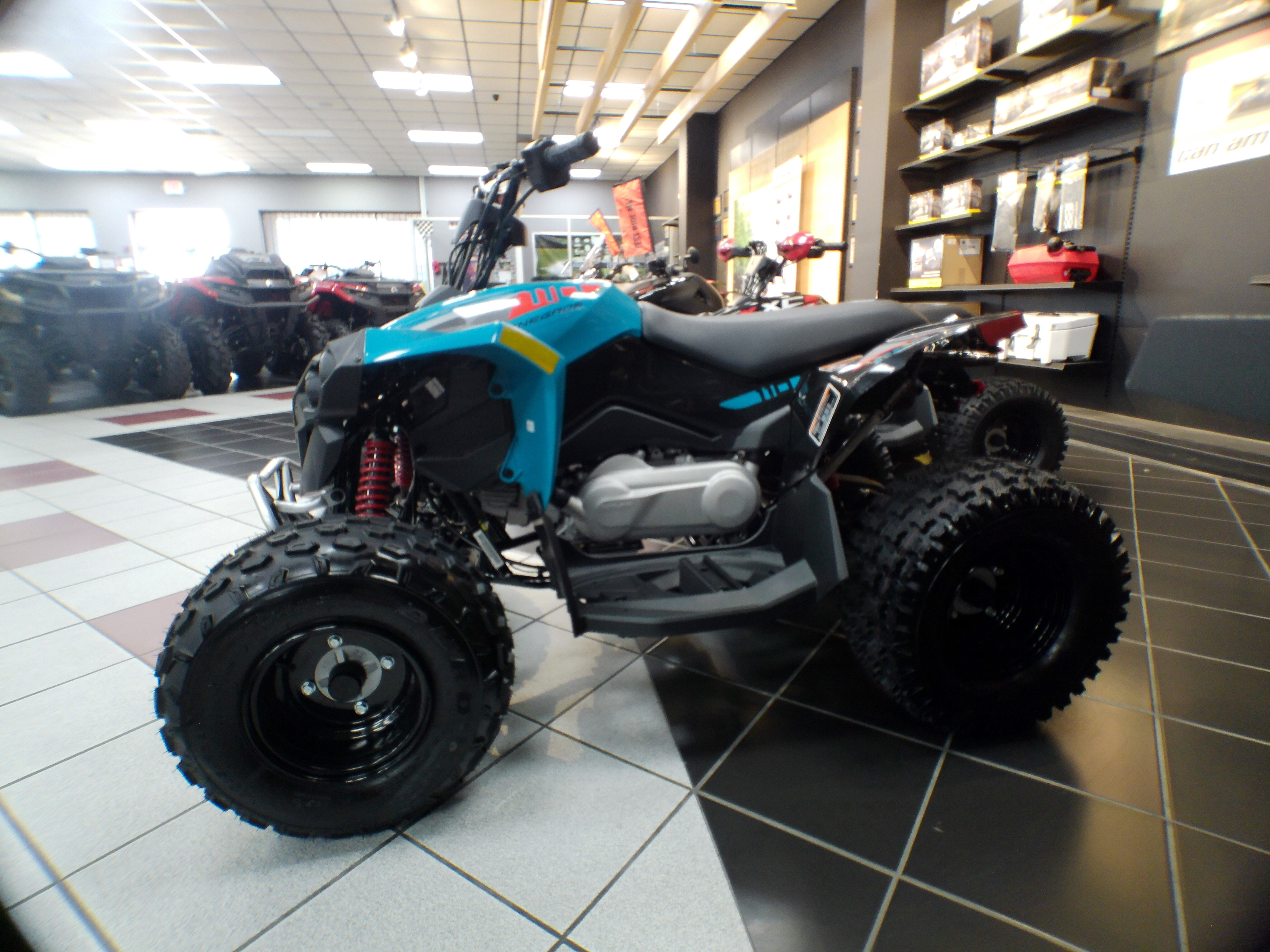 2026 Can-Am Renegade 110 - Photo 6