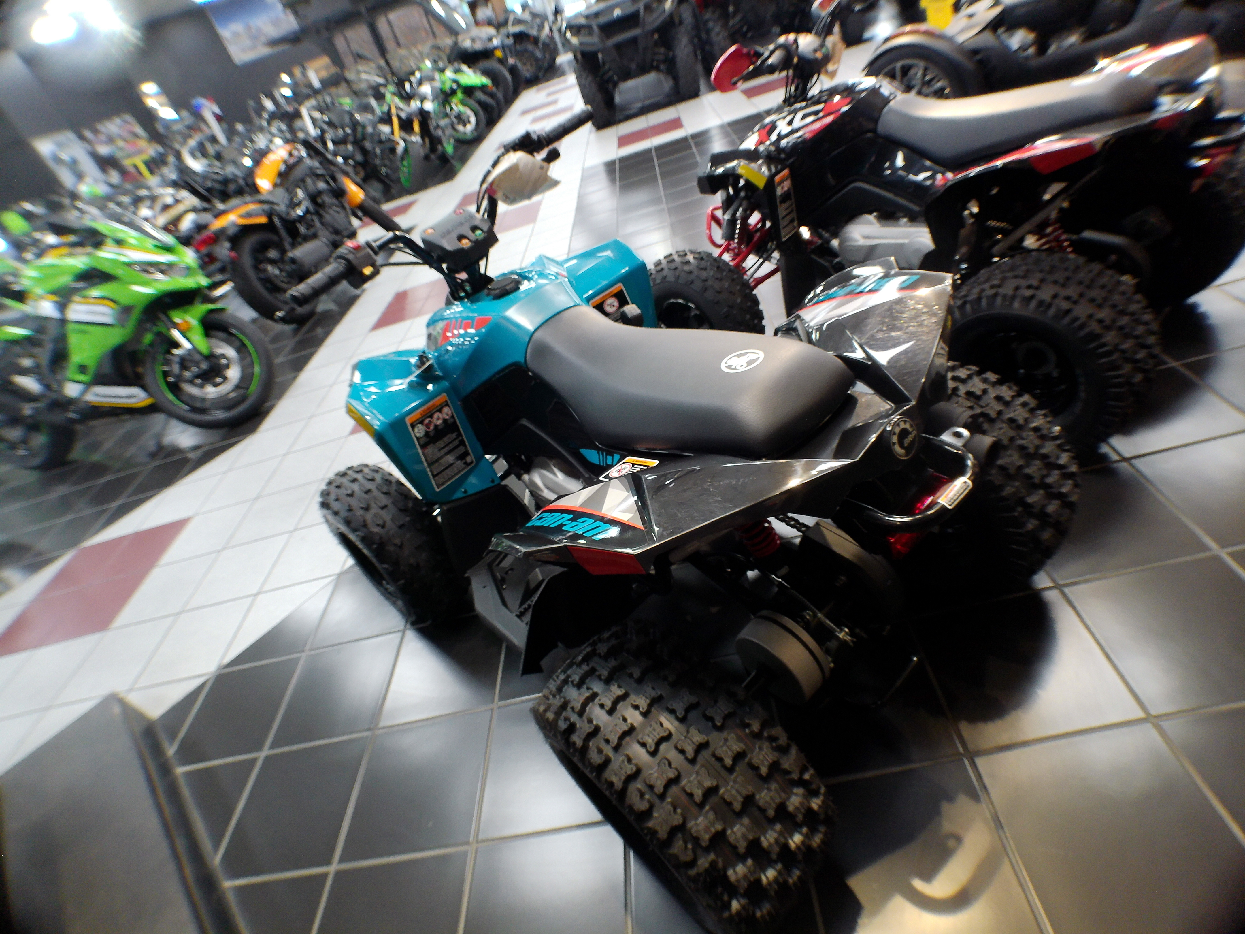 2026 Can-Am Renegade 110 - Photo 7