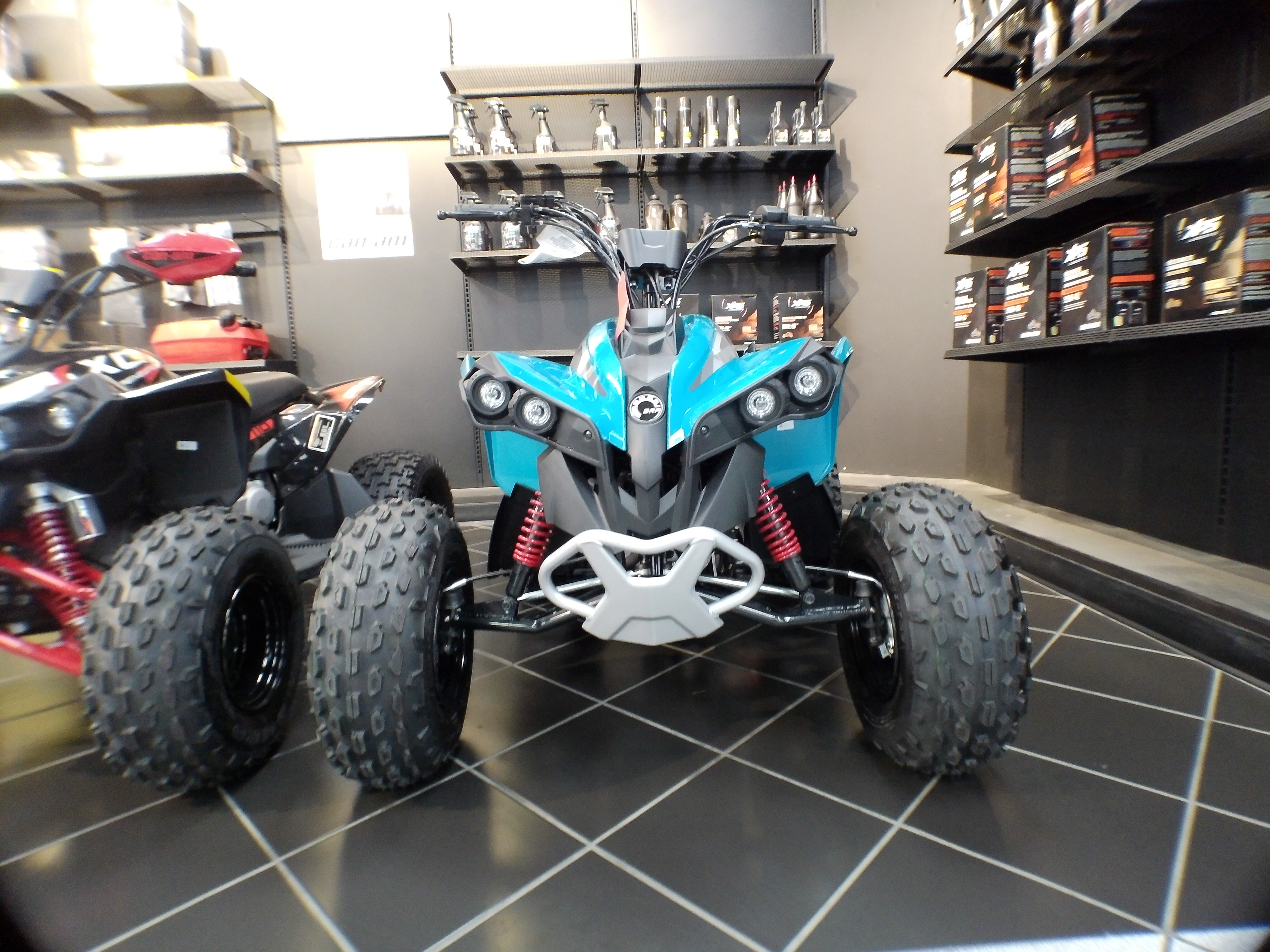 2026 Can-Am Renegade 110