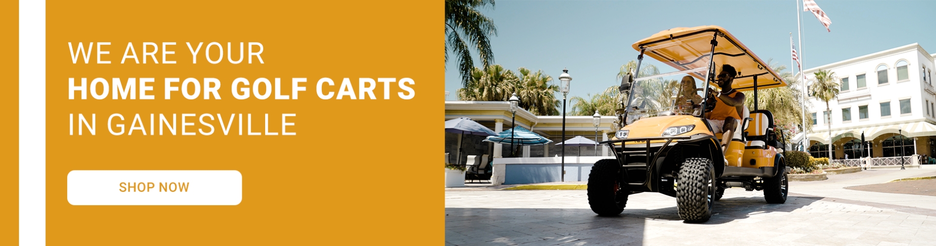 Home Gainesville Golf Carts Gainesville, FL (352) 2044042