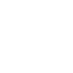 Leaf Blower Service
